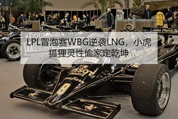 mao-pao-sai-ni-xi-xiao-hu-hu-li-ling-xing-tou-jia-ding-qian-kun-2-346.jpg